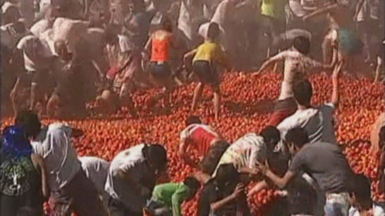 Tomato fight Chileans sling tomatoes at each other in annual "tomato