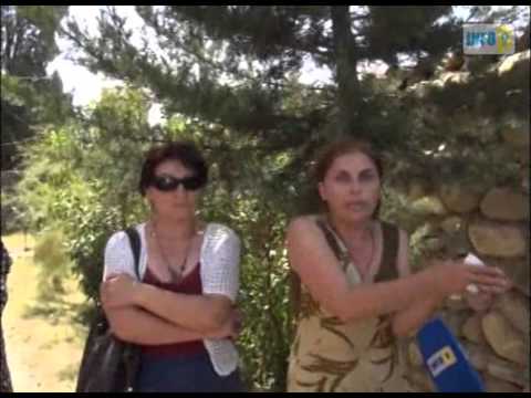 ახალგაზრდული ფრთა კახეთში