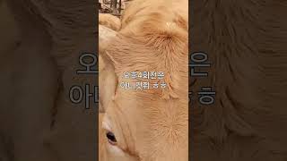 무편집/소축사