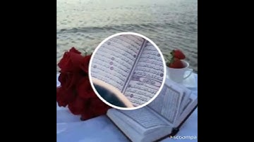 سورة الكافرون بصوت القارئ صلاح سيدو