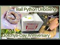 Ball Python Unboxing! | Bobby Banan's Gotchya-Day Aniversery