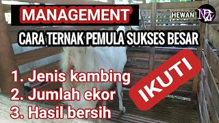 ⁣Panduan Ternak Kambing Pemula Sukses Gaji Lewati Pns / Breeding