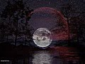 Night OF Full Moon