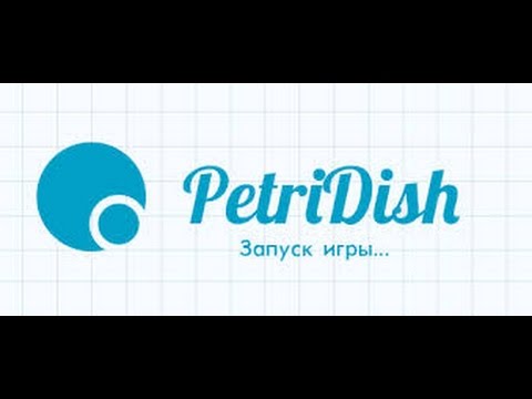 Petridish.pw-ვაიმეეეეეე
