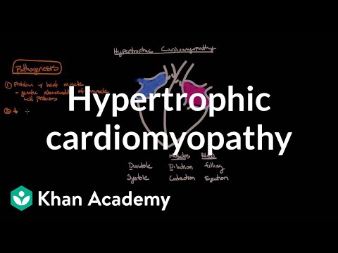 Vídeo: O Papel Do SH3BP2 Na Fisiopatologia Do Querubismo