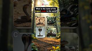 Which Snake Is the Longest in the World ? Most People Guess Wrong! #quiz #shortstrivia #animal