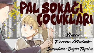 Pal Sokağı Çocukları - Ferenc Molnar (Sesli Kitap Tek Parça) (Dilşad Taştekin)