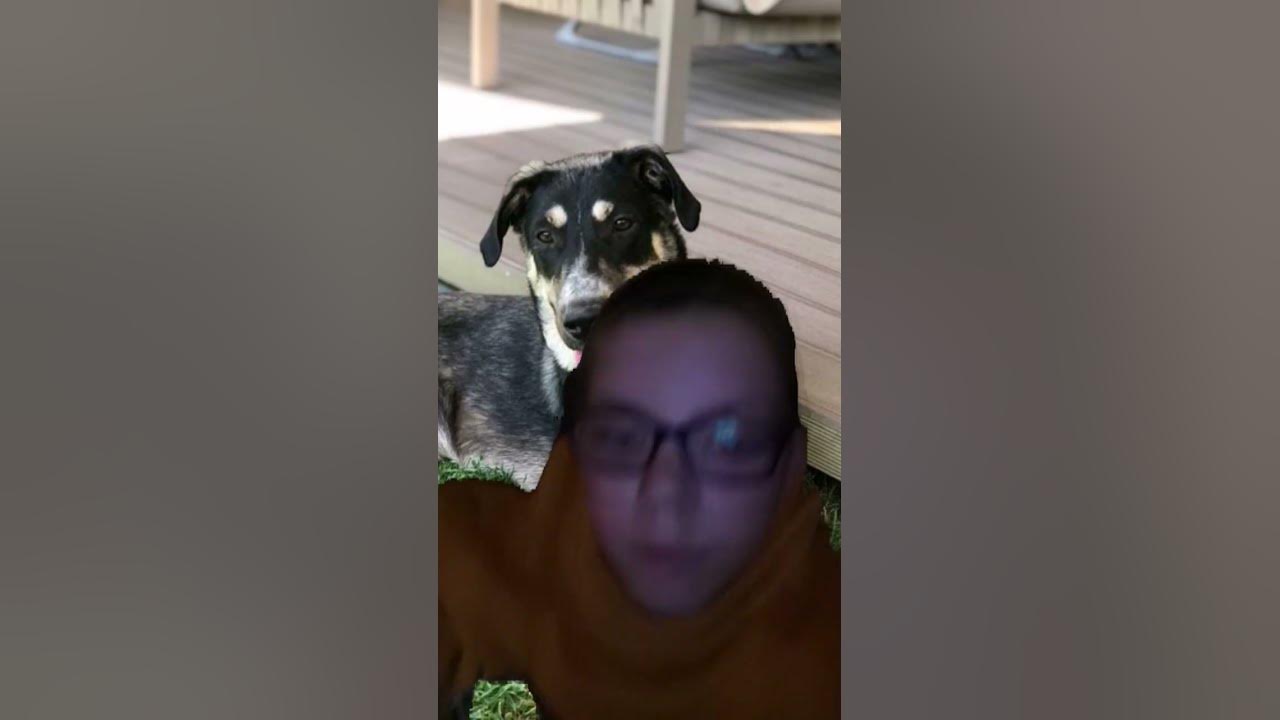 Ich liebe ihn so sehr 🐕🐶 YouTube