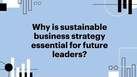 Why Is Sustainable Business Strategy Essential for Future Leaders? | Faculty Q&A