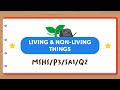 Living and Non-Living Things Quiz