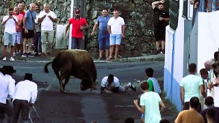 Arco São Bento - Touros JG (61,25) & RB (5,7) - 5/8/2025 - Ilha Terceira - Açores - Portugal