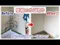 壁紙（ビニールクロス）のカビ取り方法！凸凹したエンボス加工のクロスに発生した黒カビを落とす！強力なカビ取り侍液スプレー標準タイプで真菌を除去・消臭 / カビ取り・防カビ業者 純閃堂（じゅんせんどう）