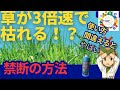 除草剤に“元気の素”を混ぜたら…草が加速で枯れた。