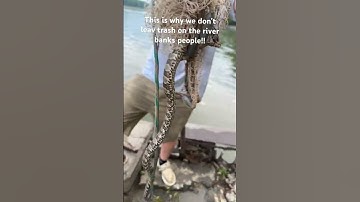 Found a snake stuck in a cast net on the river!! Pick up ur trash it’s not hard!! #fypシ゚viral #fyp
