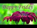 Good morning friday images !! Best good morning flowers images