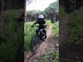 Saltos y wips en el pinar 🤟#haibike #mtb #enduromtb #emtb #wips #foxfactory