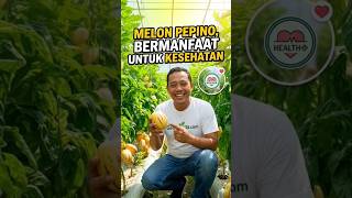 Melon Pepino bermanfaat untuk kesehatan