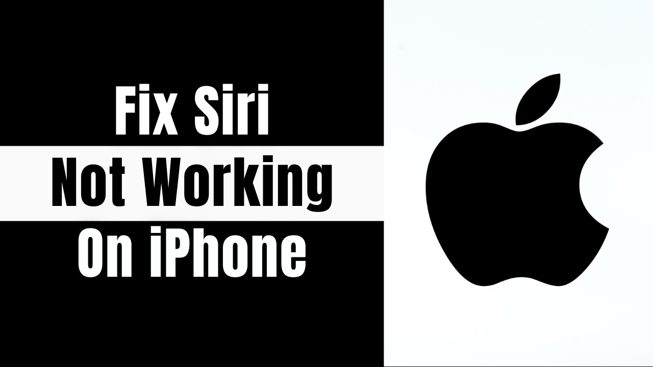 How To FIX Siri Not Talking / Working on any iPhone or iPad 2024? - YouTube