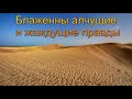 "Блаженны алчущие и жаждущие правды". А. А. Войтухов. МСЦ ЕХБ