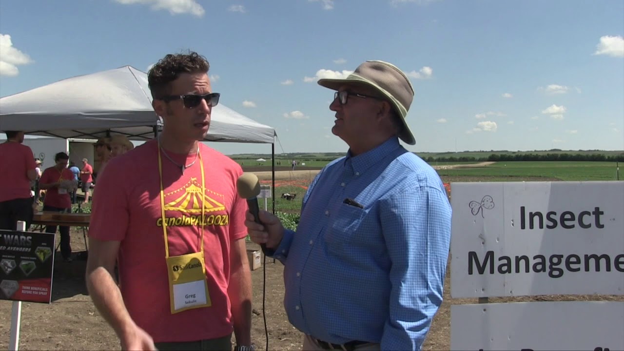 Canola School: Benificial Insects