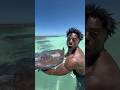 SWIMMING WITH STINGRAYS IN ANTIGUA! 🇦🇬