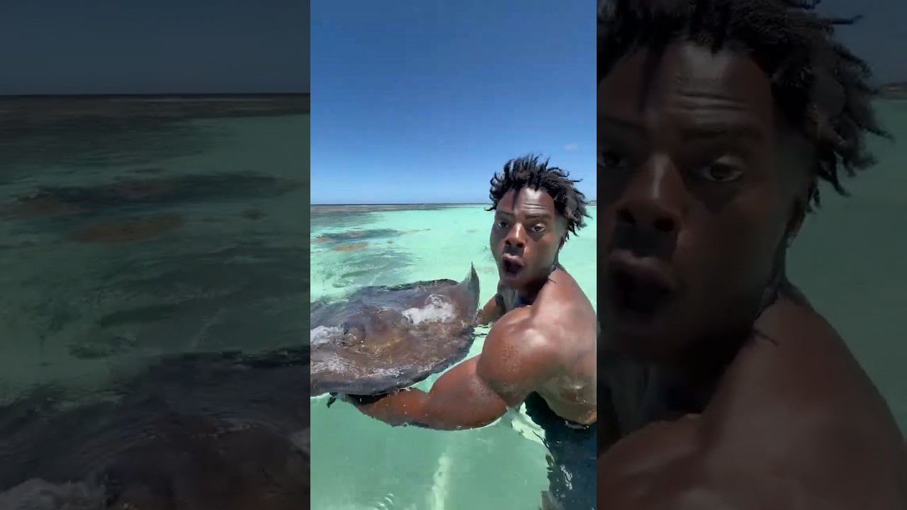 SWIMMING WITH STINGRAYS IN ANTIGUA! 🇦🇬