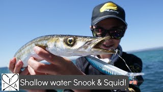 Shallow water Snook and Squid MADNESS! | St Kilda, South Australia