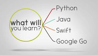 Become A Professional Programmer Bundle