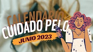▶️ CALENDARIO LUNAR JUNIO 2023 PARA CORTARSE EL CABELLO ✅ MEJORES Y PEORES CORTAR PELO DEPILARSE Net Worth