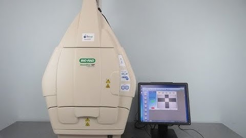 BioRad ChemiDoc MP Imaging System for sale