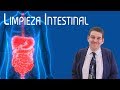 LIMPIEZA INTESTINAL: Datos Clave que necesitas saber