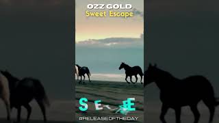#releaseoftheday Ozz Gold - Sweet Escape (Tropical House)