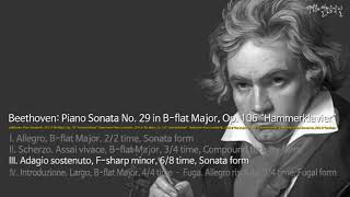 Beethoven: Piano Sonata No. 29 in B-flat Major, Op. 106 “Hammerklavier”-III. Adagio sostenuto