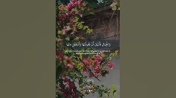 سورة الاحزاب #اكسبلور #راحة_نفسية #المصحف #حالات_واتس #تيك_توك #الرحمن #القزابري #العظماء #لايك