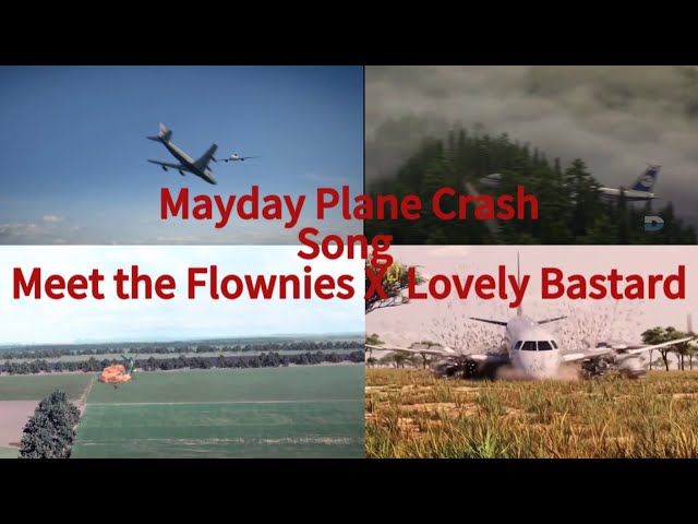 Mayday Plane crash Song Meet The Frownies X Lovely Bastard class=