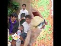 Khi bạn bè chia tiền ăn nhậu: "Ping đã nhận!" 😂 #shorts #haihuoc #funny #fyp