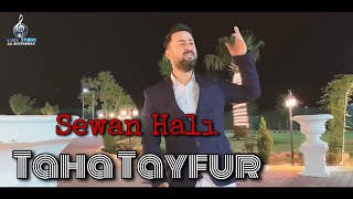Taha Tayfur - Sewan Halı - طه طيفور - سيوان حالي