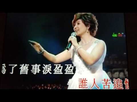 街頭客寸：雨中康乃馨。
