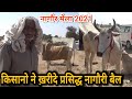 Up के किसानो ने खरीदे नागौर मेले से नागौरी बैल | रामदेव पशु मेला 2021