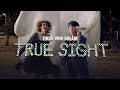 Those who dream  true sight visual