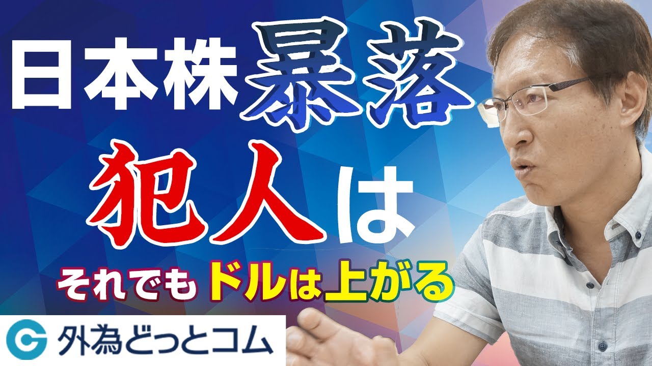 FX「日本株暴落の犯人は〇〇！それでもドル/円は上昇する」【和田 仁志氏】