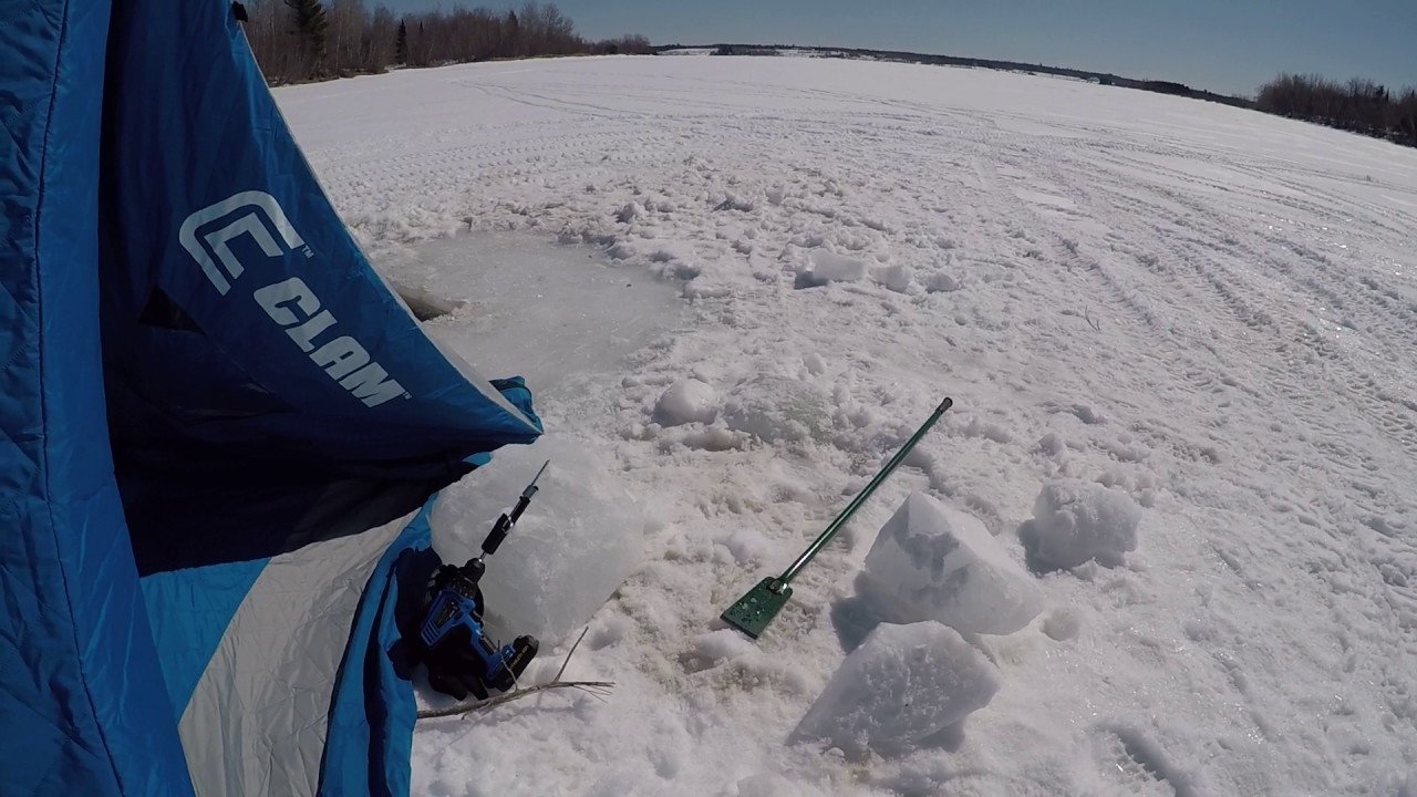 Clam xl4000t Clearance