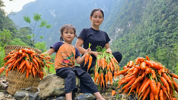 Single mother: harvests carrots to sell at the market and cooks in her new kitchen - DayDayNews