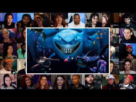 Marlin & Dory meets Sharks | Finding Nemo | Reaction Mashup