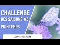 Challenge des saisons 5  vos colos challenge 4  prsentation printemps