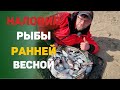 наловил рыбу ранней весной