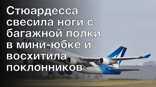 Стюардесса свесила ноги с багажной полки в мини-юбке и восхитила поклонников