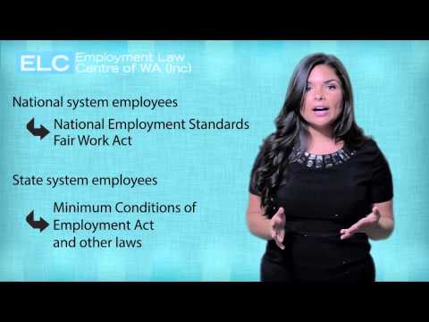 What Law Applies To All Employment Situations