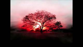 Mothers Favorite Child & Saeeda Wright - Dance For Me (Ezel Remix)