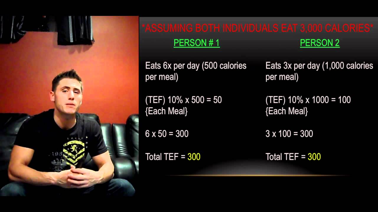 Meal Frequency How Many Meals Should I Eat Per Day? YouTube